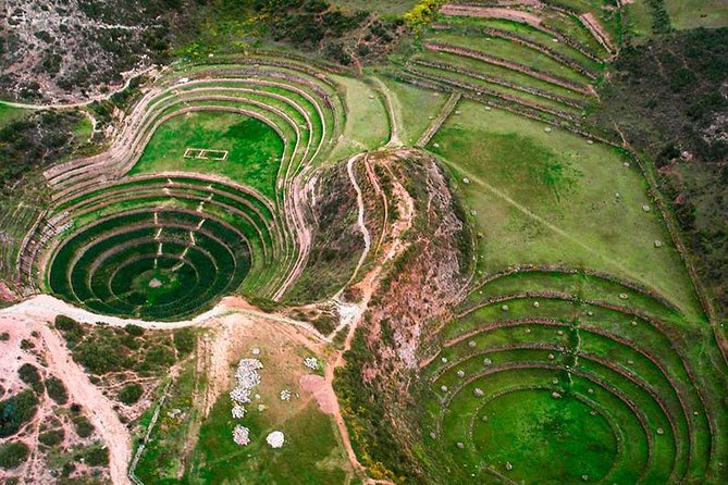 Super Sacred Valley: Chinchero - Salt Mines - Moray & Ollantaytambo - Ollantaytambo terraces: the day’s payoff in stone and structure