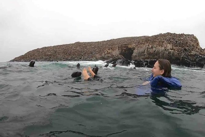 Swimming with Sea Lions in Lima - Hotel pickup, private driver, and how the timing really feels