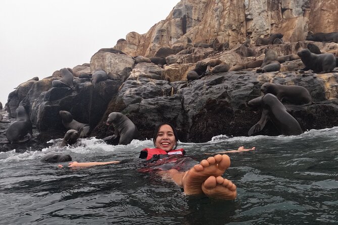 Swimming with Sea Lions on Palomino Island in Lima with Tickets - Key highlights before you go