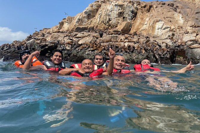 Swimming with Sea Lions on Palomino Island in Lima with Tickets - Why Palomino sea lions feel like front-row life