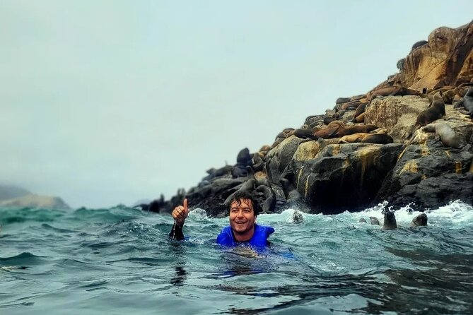 Swimming with Sea Lions on Palomino Island in Lima with Tickets - Islas Palomino swim: what you actually get in the water