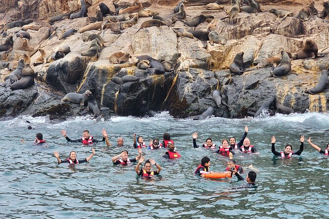 Swimming with Sea Lions on Palomino Island in Lima with Tickets - Boat time with a water slider and the kind of small comforts that matter