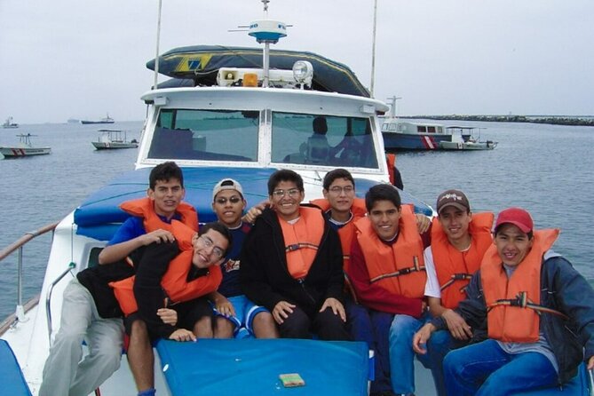 Swimming with Sea Lions on Palomino Island in Lima with Tickets - Price and value: where the $80 goes