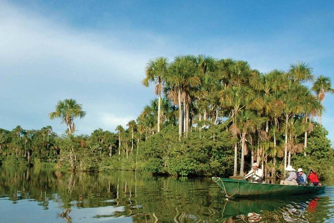 Tambopata 3 Day Amazon Tour: Macaws, Caimans & Jungle - Day 3 early forest walk and your return to Puerto Maldonado