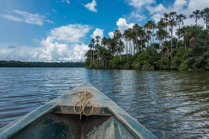 Tambopata 3 Day Amazon Tour: Macaws, Caimans & Jungle - What your $578 includes, and why the value is more than “a low price”