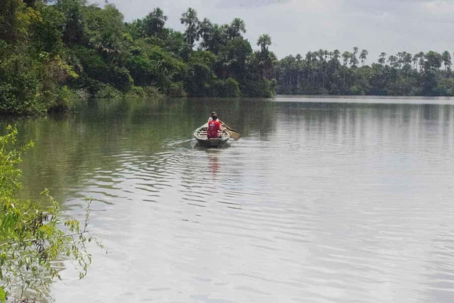 Tambopata: Multi-Day Amazon Rainforest Tour with Local Guide - Key points to know before you go
