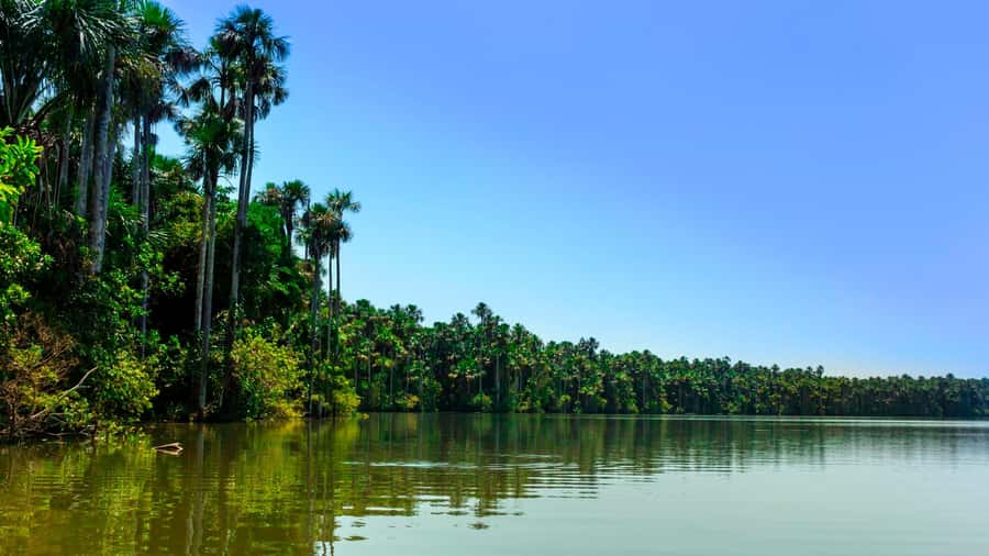 Tambopata: Multi-Day Amazon Rainforest Tour with Local Guide - Who should book this Tambopata tour