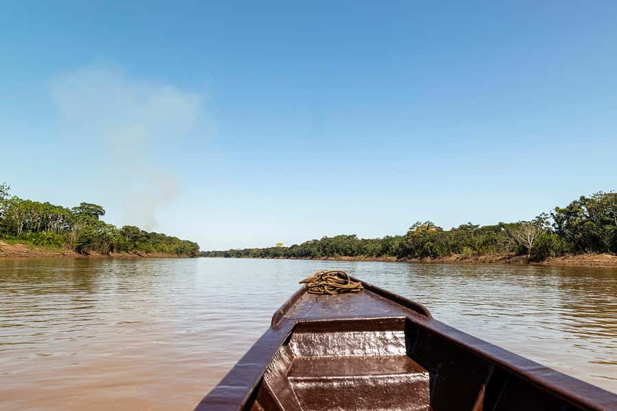 Tambopata: Multi-Day Amazon Rainforest Tour with Local Guide - Day 4: dawn clay lick for parrots and parakeets, then back to Puerto Maldonado