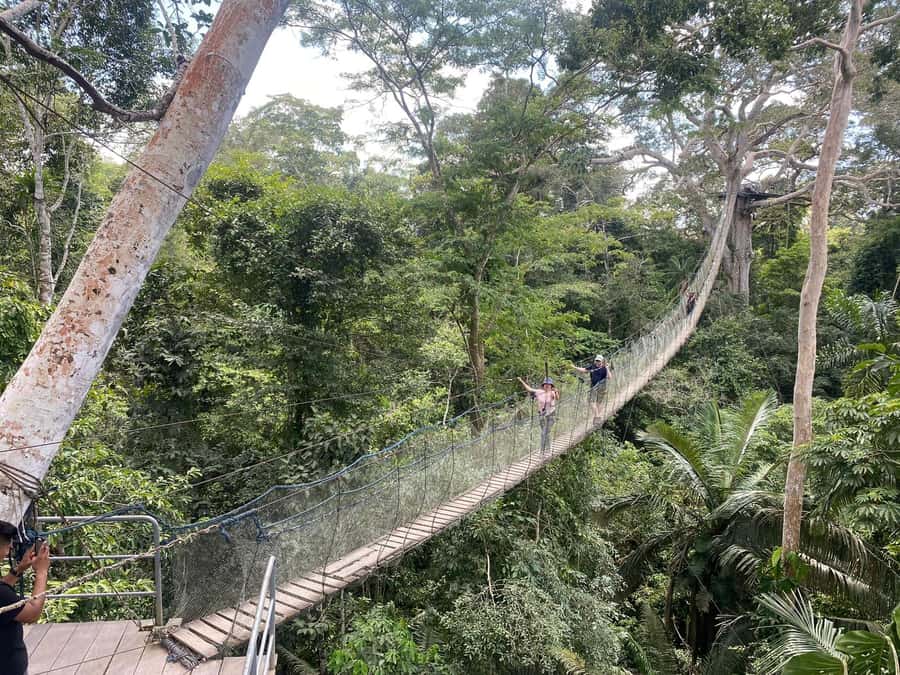 Tambopata: Multi-Day Amazon Rainforest Tour with Local Guide - Food, guides, and what “good organization” looks like here
