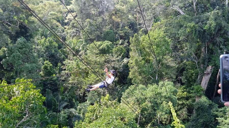 Tambopata Peruvian Amazon Jungle for Three Days/Two Nights - Who This Trip Fits Best (And Who Should Rethink)