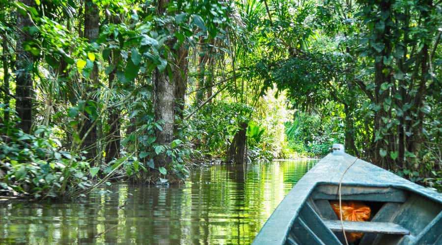 Tambopata Peruvian Amazon Jungle for Three Days/Two Nights - What to Pack, So the Jungle Feels Like a Win