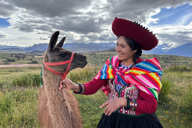 the best sacred valley tour: walk with Alpacas,culture experience - Key highlights you should care about
