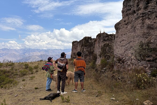 the best sacred valley tour: walk with Alpacas,culture experience - Starting at 8:00 am and how the timing really works