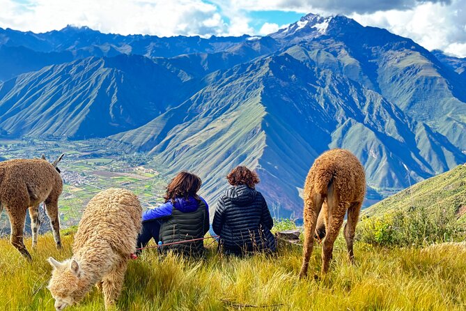 the best sacred valley tour: walk with Alpacas,culture experience - Stop 3, Ollantaytambo, the big-stone town in the middle of the valley