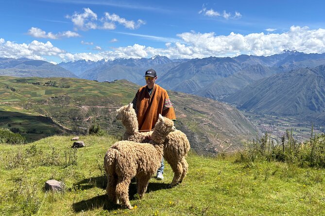 the best sacred valley tour: walk with Alpacas,culture experience - Price, fees, and how to budget the real cost