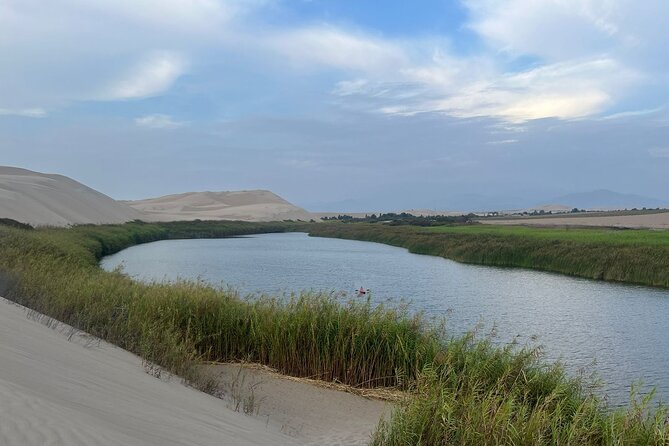 The most epic Paracas & Huacachina experience ever! - The Paracas Oasis Stop: Swim, Kayak, Paddleboard, Then Catch Your Breath