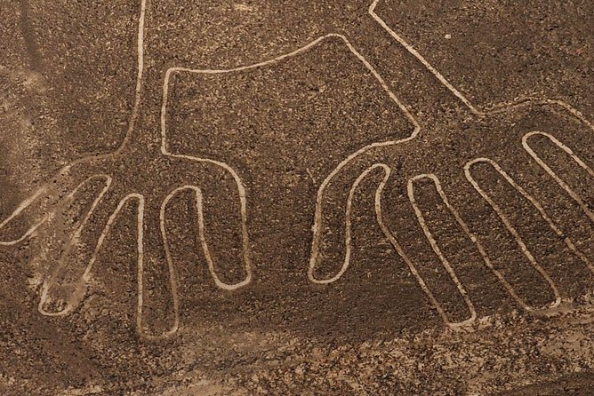 The Nazca Lines, Huacachina Oasis & Dune Buggy - Private Trip - What you pay and what you get for $485 per person