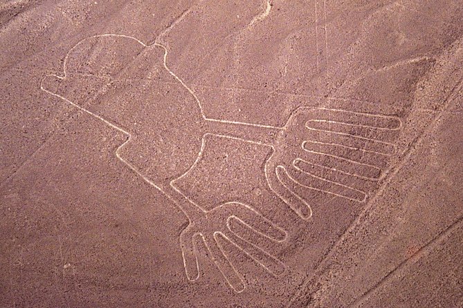 The Nazca Lines, Huacachina Oasis & Dune Buggy - Private Trip - Who should book this trip, and who should skip it