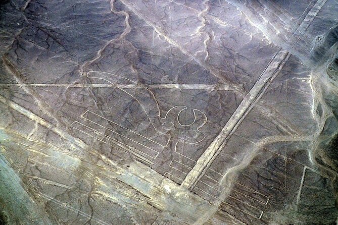 The Nazca Lines & Huacachina Oasis from Lima - Private Trip - Huacachina Oasis: Dune Buggy Ride and Sandboarding Reality Check
