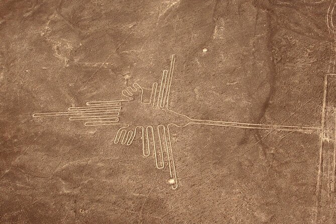 The Nazca Lines & Huacachina Oasis from Lima - Private Trip - Guides and Drivers: The Difference Between Seeing It and Getting It