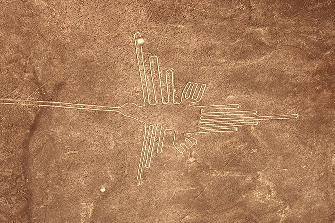 The Nazca Lines & Huacachina Oasis from Lima - Private Trip - Price and Inclusions: Is $485 a Smart Spend?