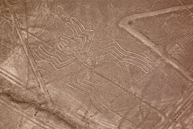 The Nazca Lines & Huacachina Oasis from Lima - Private Trip - What to Pack and How to Survive the Long Day