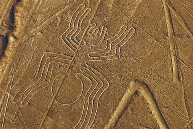 The Nazca Lines & Huacachina Oasis from Lima - Private Trip - Who This Tour Fits Best (and Who Should Rethink It)