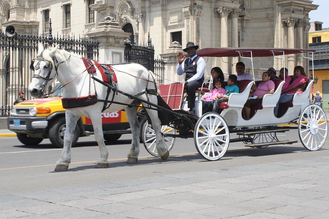 The Original Highlights of Lima - Private Half Day Tour - Pickup, vehicle comfort, and how the walking pace feels