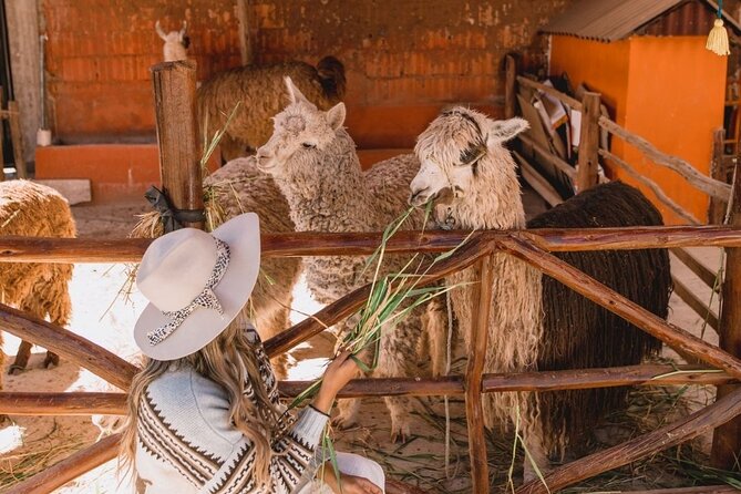 The Ultimate Full Day Sacred Valley Tour - Price, value, and the one thing to budget extra