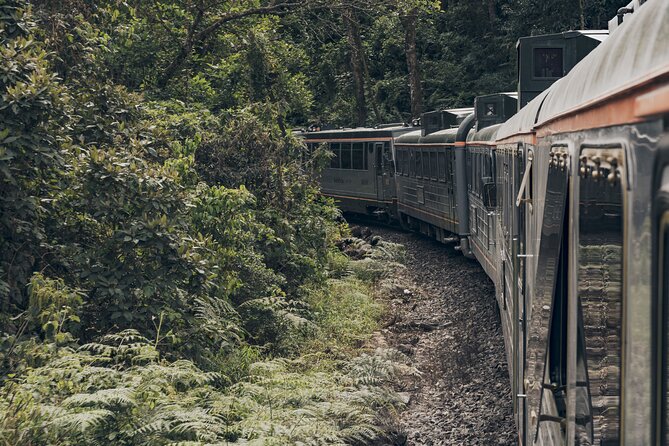 The Voyager Machu Picchu Train by Inca Rail - Comfort on the Voyager, what feels good and what might annoy you