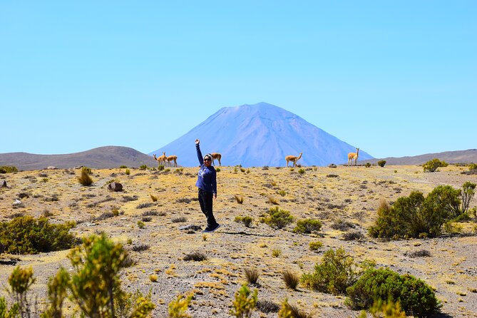 Tour 10 Hours Pillones Waterfall and Puruña Stone Forest - The Pace: How This 10-Hour Day Actually Feels