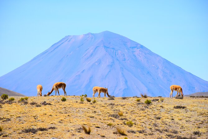 Tour 10 Hours Pillones Waterfall and Puruña Stone Forest - Price and Value: Is $29 Worth It?