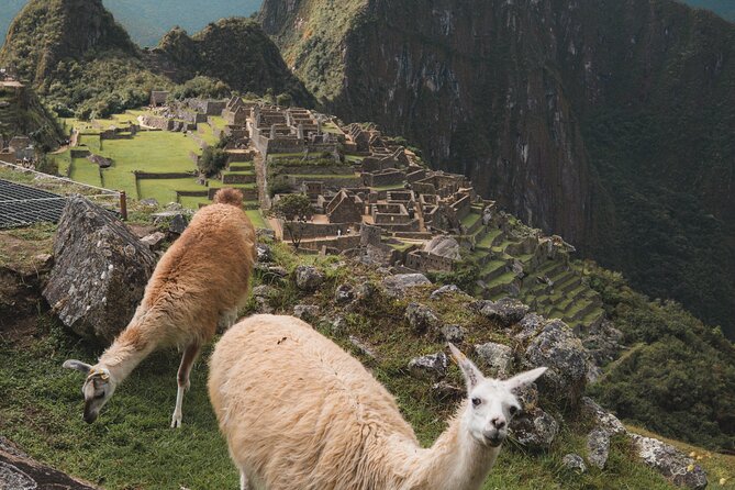 Tour de Día Completo a Machu Picchu - Key highlights you’ll feel in the moment