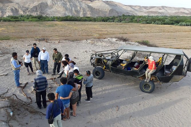 tour operators in Nasca in buggy archeology and adventure - Acueductos de Nasca: Pre-Inca Water Engineering Made Understandable