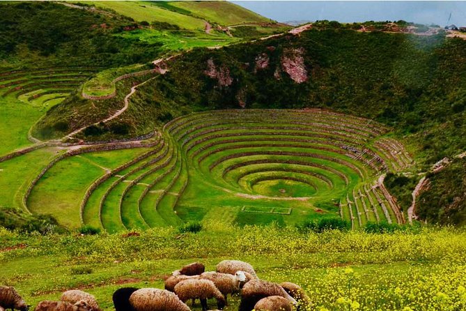 Tour Sacred Valley & Maras - Moray with buffet lunch - Late afternoon: Pisac archaeology park, short but classic