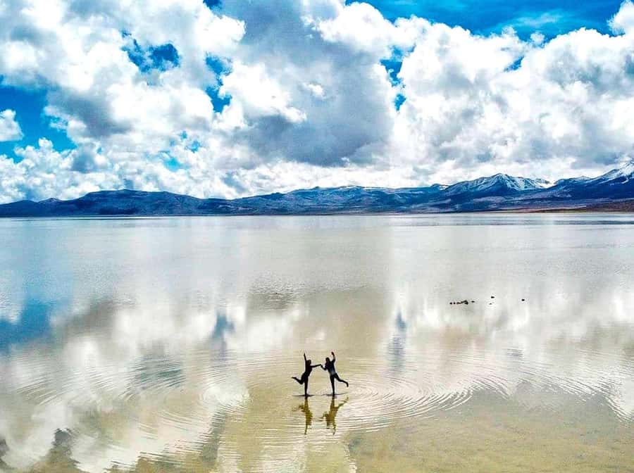 Tour to the Salinas Lagoon and National Reserve in Arequipa - The Van Ride Is Part of the Adventure (and the Challenge)