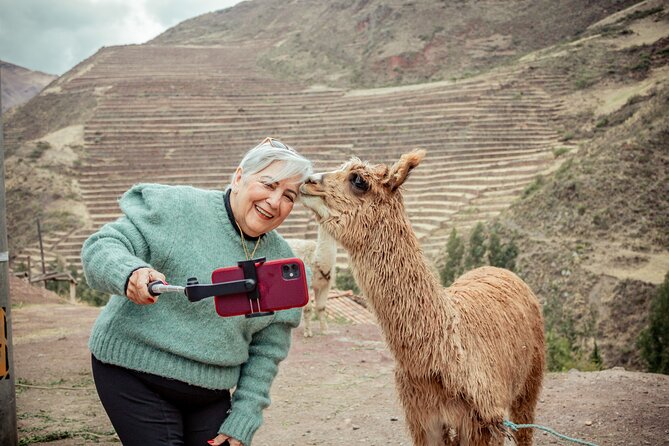 Tourist Program: Lima, Ica and Cusco in 6 days / 5 nights. - Day 6: Cusco free time and your flight out
