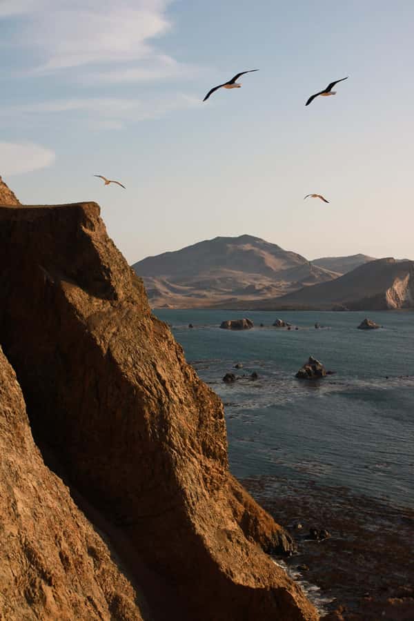 TREKKING GOLDEN SHADOWS - Salar de Otuma and Playón: Variety Beyond the Coast