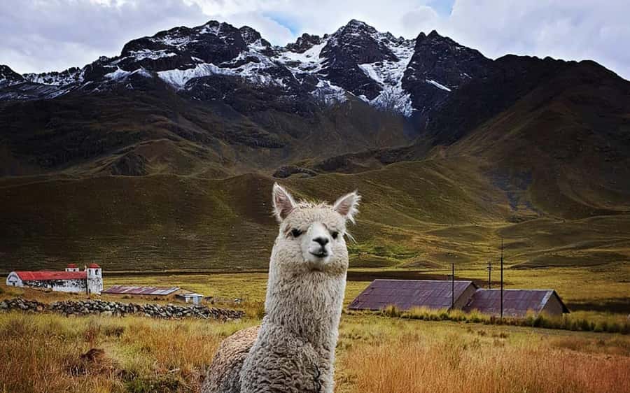 TRIP FROM PUNO TO CUSCO WITH THE ROUTE OF THE SUN - Key highlights you should know before you go
