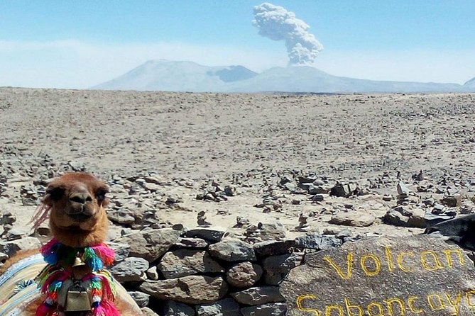 Turist Bus Colca Canyon (Chivay) To Puno - Arriving in Puno around 7:00 to 7:30 pm, and what that means for your evening