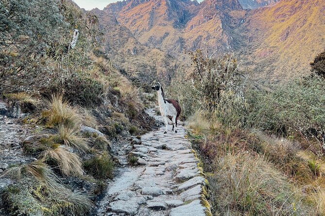 Two Day Short Inca Trail to Machu Picchu - Chachabamba: where the hike starts to feel cultural, not just physical