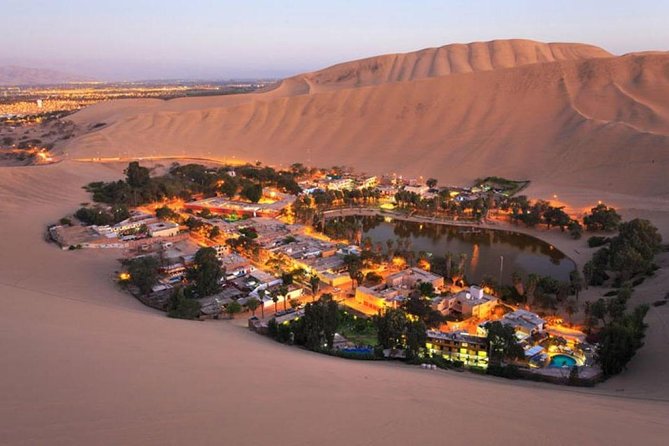 Ultimate Comfort: Lima to Huacachina, Ballestas and Vineyard - Ballestas Islands Boat Tour: Wildlife Up Close (And Cooler Than You Think)