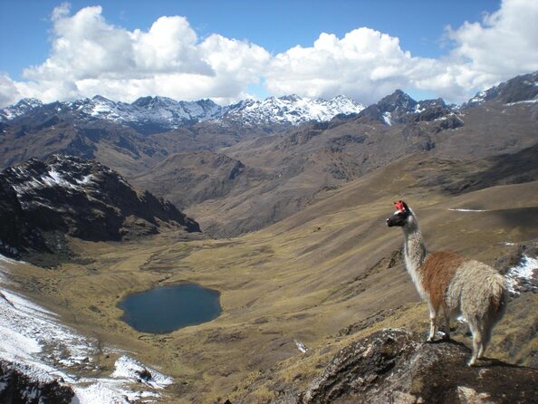 Ultimate Lares Trek & Inca Trail 5 days - Key highlights worth planning for