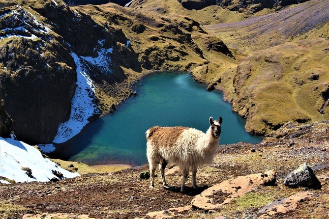 Ultimate Lares Trek & Inca Trail 5 days - Day 5: Sunrise Machu Picchu, optional climbs, and the ride back to Cusco