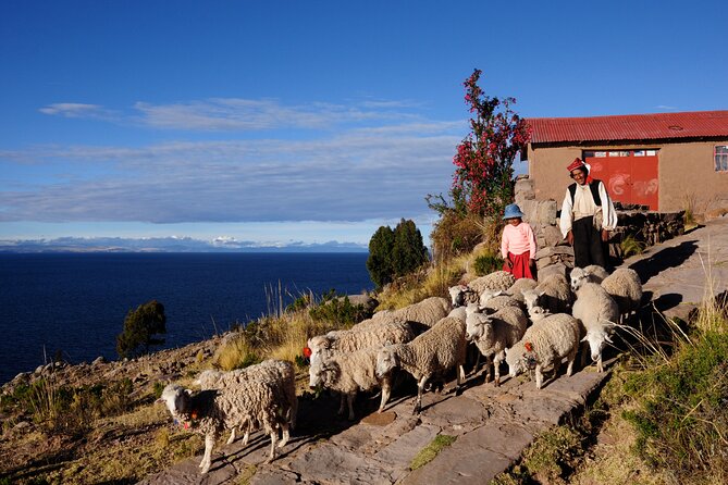 Uros Reed Floating Islands & Taquile Island Titicaca Puno Full Day - Taquile Island: textiles, community rules, and a lunch you will remember