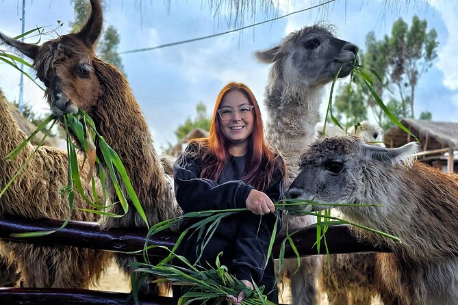 Viewpoints and Streets Tour of Cusco Photo Tour - Key highlights you will feel right away