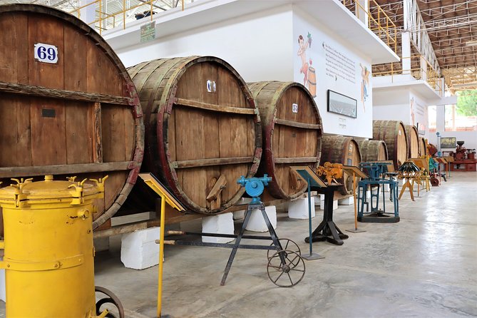 Vineyard & Buggy tour in Huacachina / 1 day tour from Lima - Lima to Ica: What This Day Trip Gets Right