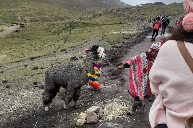 Vinicunca 7-Color Mountain Tour - Andean Adventure - The return to Paucarpata and a lunch that hits the spot
