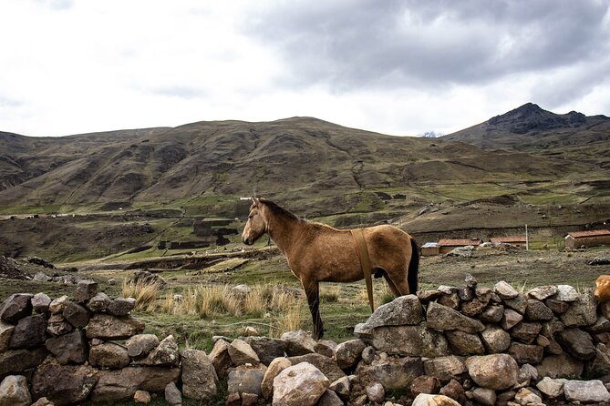 Vinicunca 7-Color Mountain Tour – Andean Adventure - The early ride: from pickup to Cusipata and onward