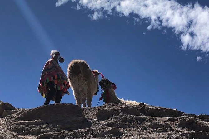Vinicunca Rainbow Mountain Full-Day Tour from Cusco - What the return to Cusipata and lunch feels like after the climb